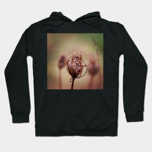 Seed head Hoodie